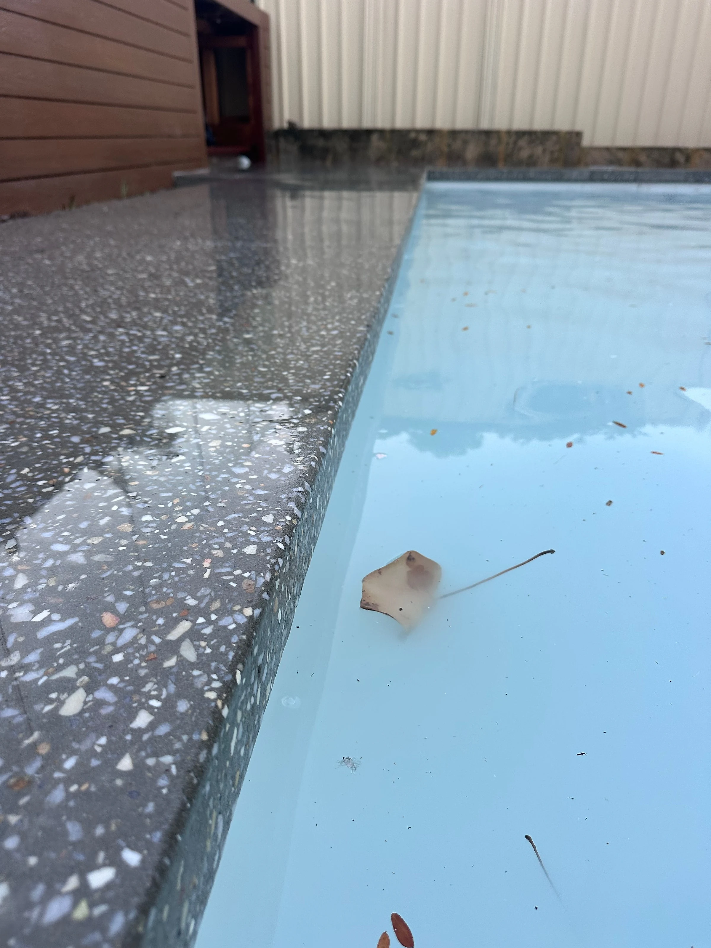 A honed surround in Limecrete Coral Grey wrapping a rectangular pool, ground back in house and run to a seamle